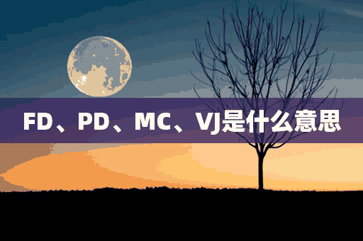 FD、PD、MC、VJ是什么意思